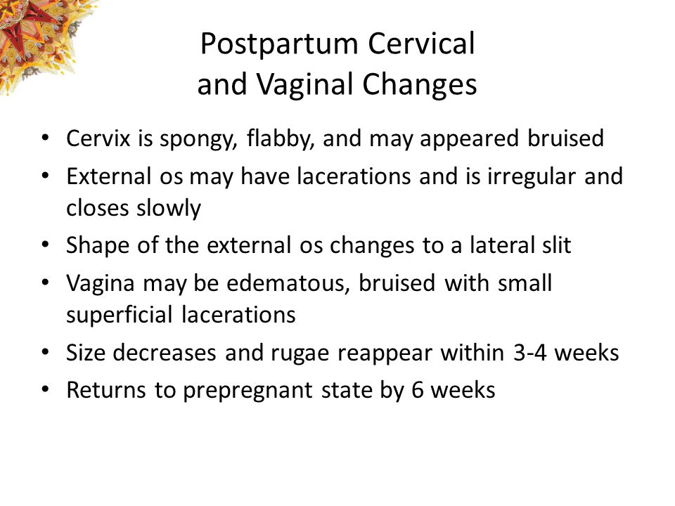 Postpartum Cervical and Vaginal Changes