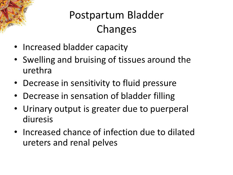 Postpartum Bladder Changes