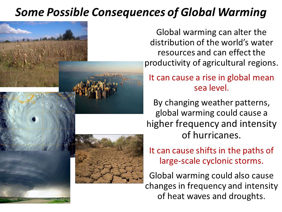 Effects of global warming. Global warming презентация. Глобальное потепление презентация на английском. Consequences of Global warming. Global warming causes.