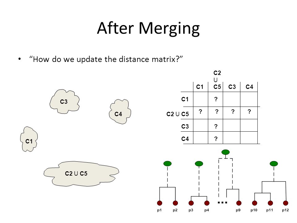 After Merging How do we update the distance matrix C2 U C5 C1 C3 C4
