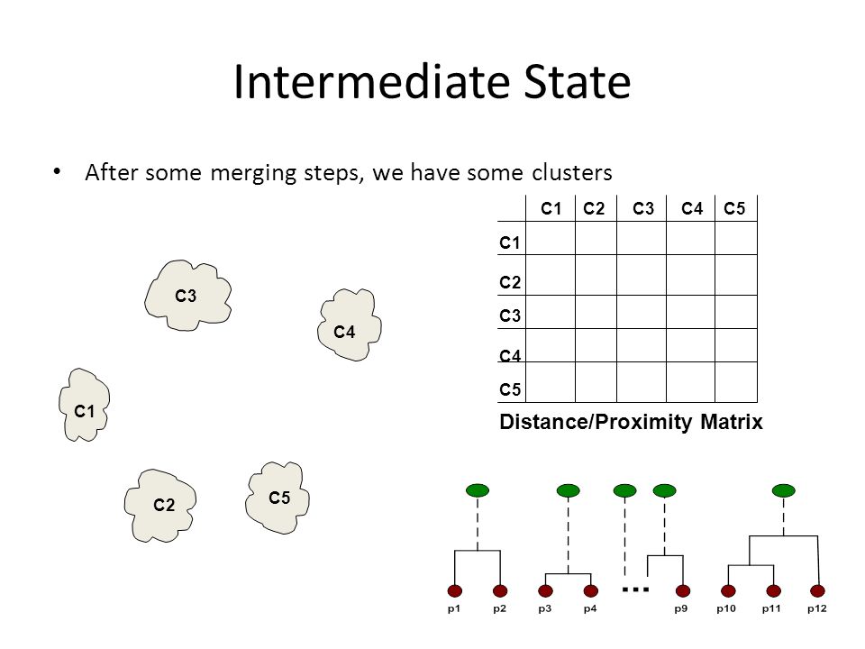 Intermediate State After some merging steps, we have some clusters
