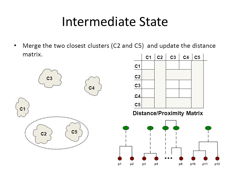 Intermediate State Merge the two closest clusters (C2 and C5) and update the distance matrix. C2.