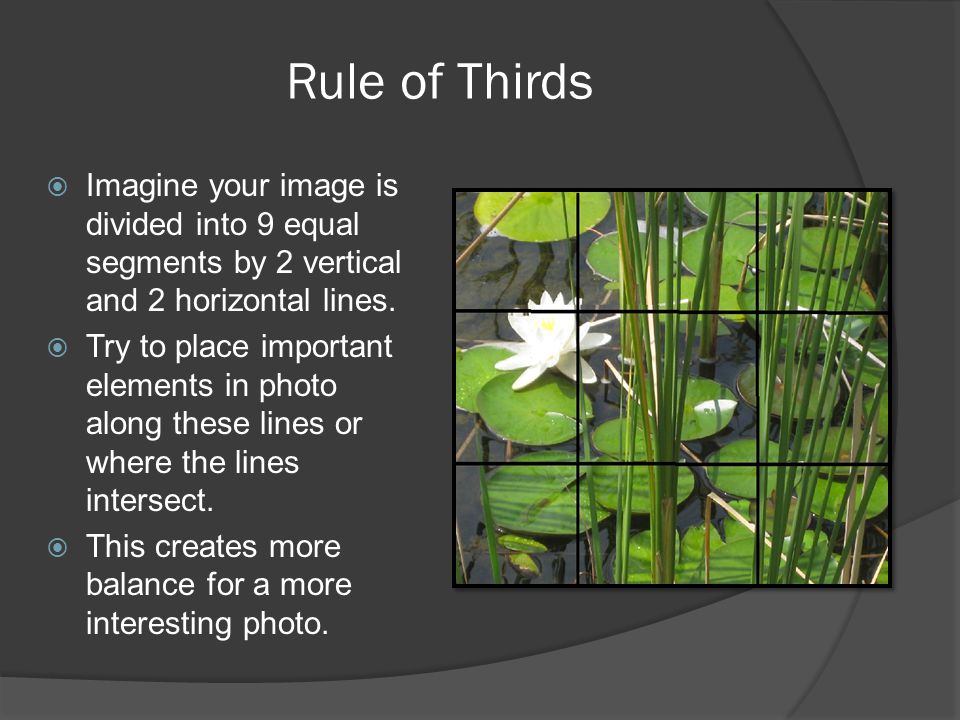 Rule of Thirds Imagine your image is divided into 9 equal segments by 2 vertical and 2 horizontal lines.