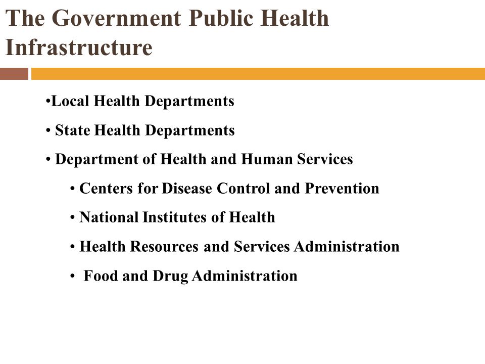 The Government Public Health Infrastructure