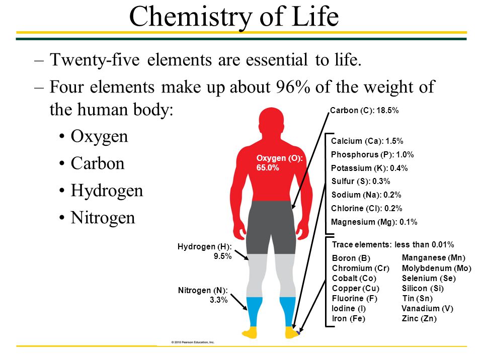 Chemistry of Life Twenty-five elements are essential to life.