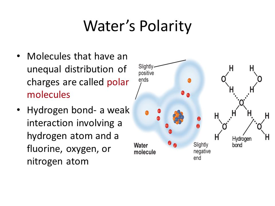 Water’s Polarity Molecules that have an unequal distribution of charges are called polar molecules.