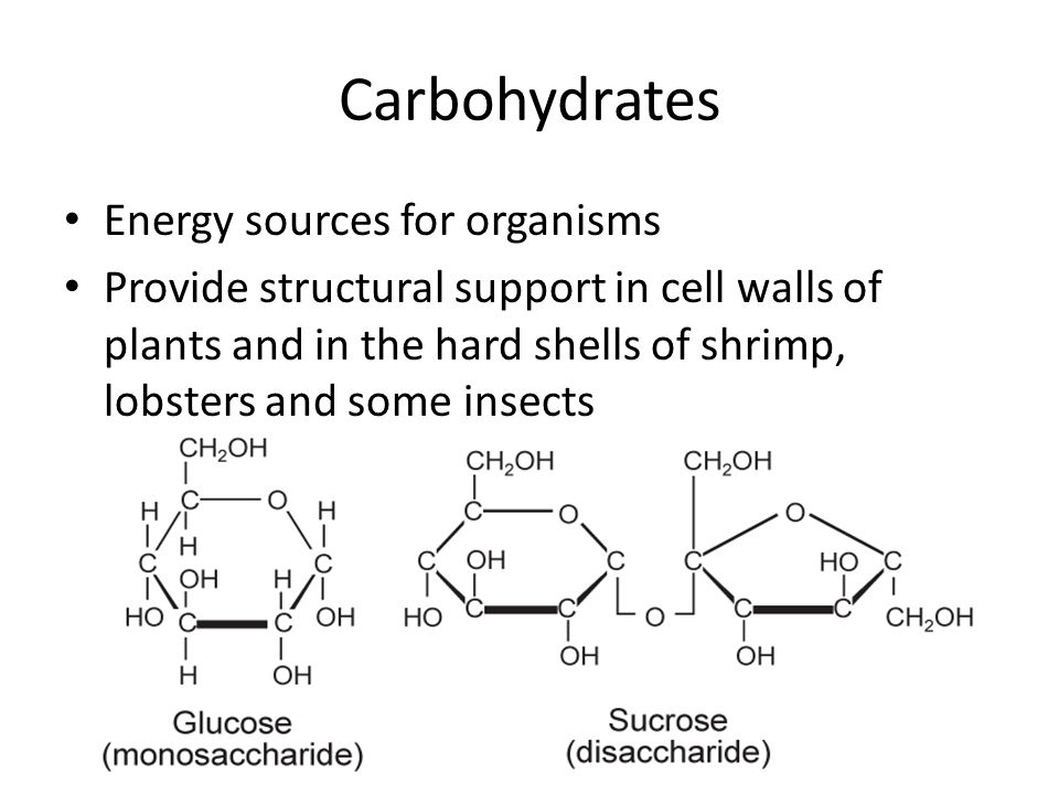 Carbohydrates Energy sources for organisms