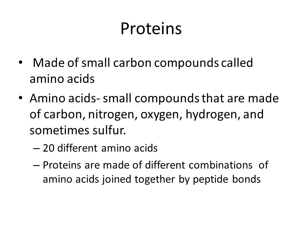 Proteins Made of small carbon compounds called amino acids