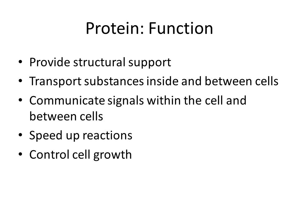 Protein: Function Provide structural support