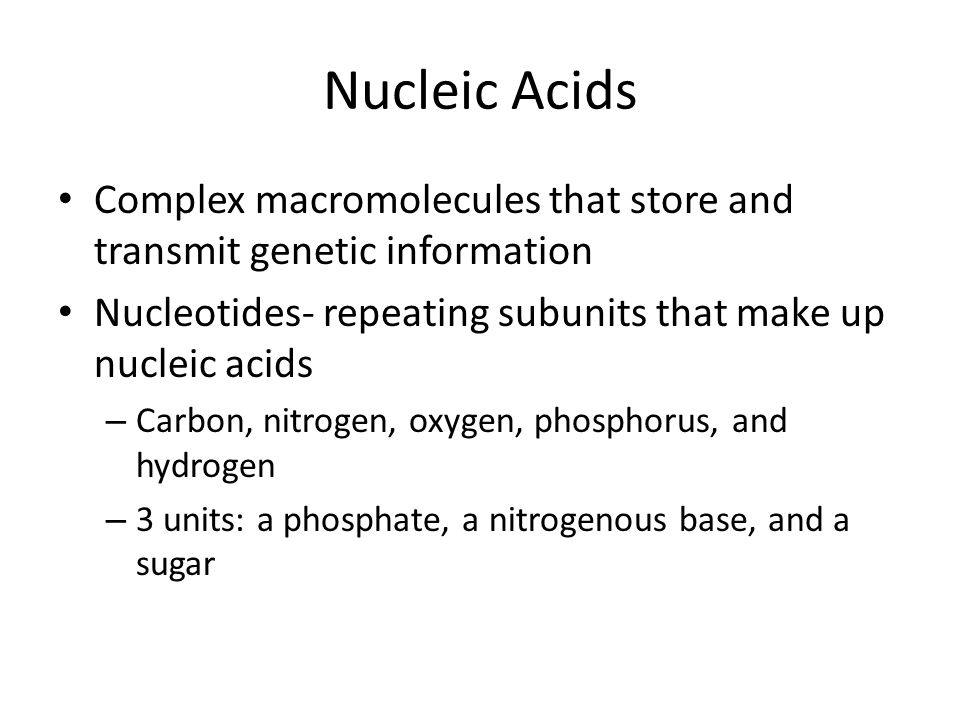Nucleic Acids Complex macromolecules that store and transmit genetic information. Nucleotides- repeating subunits that make up nucleic acids.