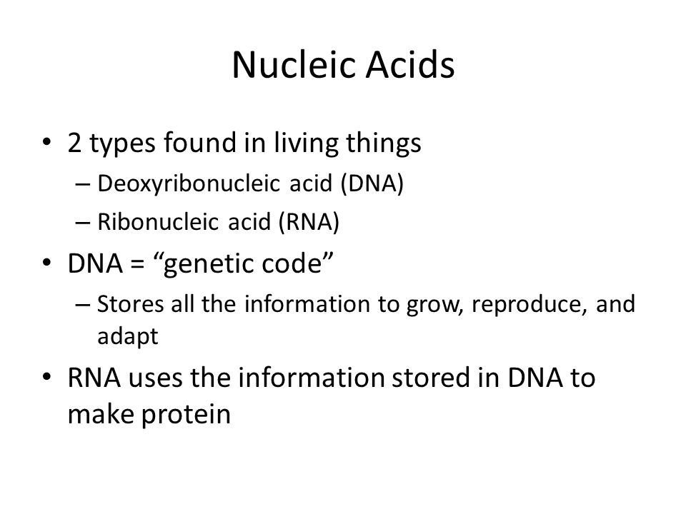 Nucleic Acids 2 types found in living things DNA = genetic code