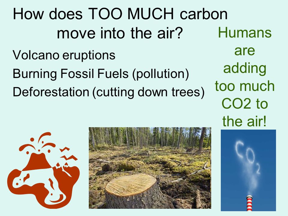 How does TOO MUCH carbon move into the air
