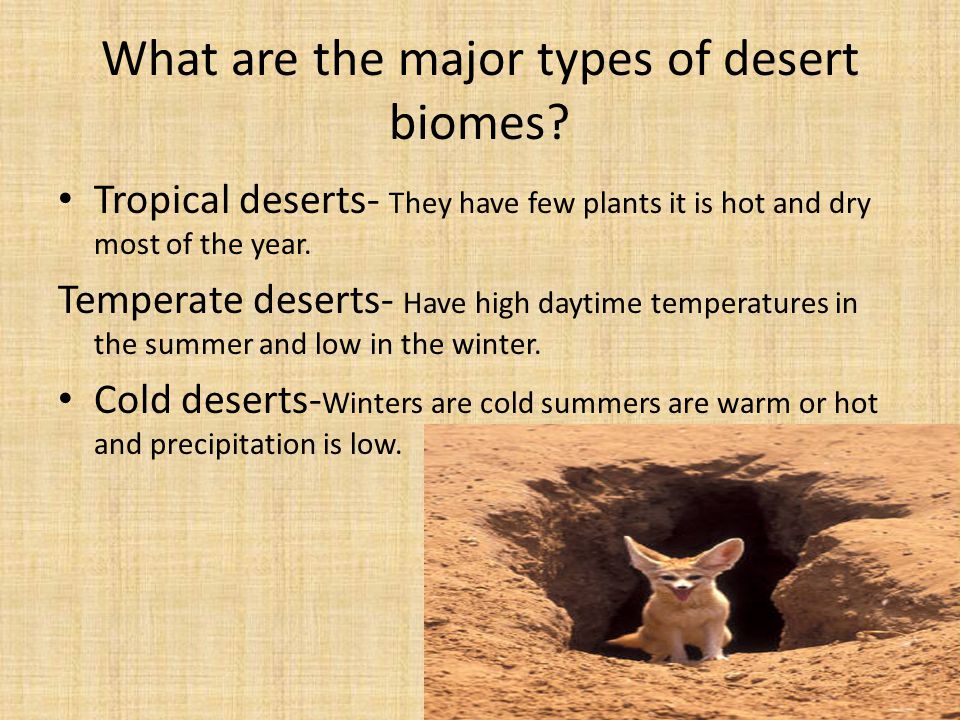 What are the major types of desert biomes