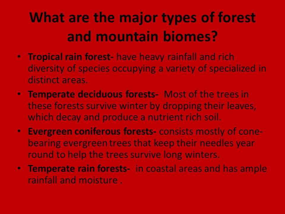 What are the major types of forest and mountain biomes