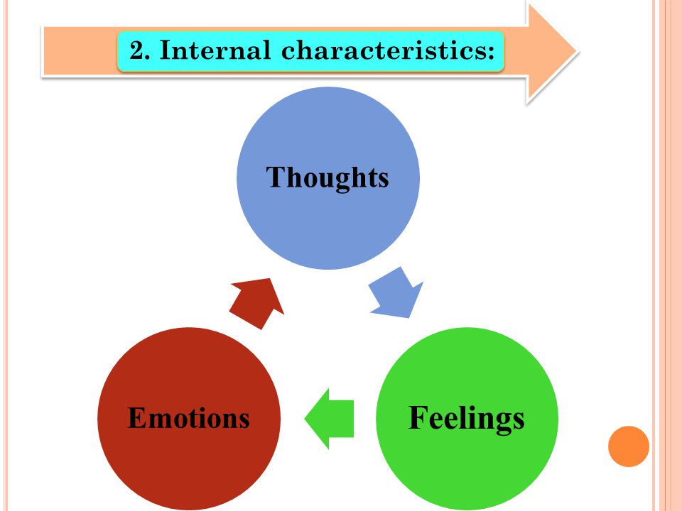 2. Internal characteristics: