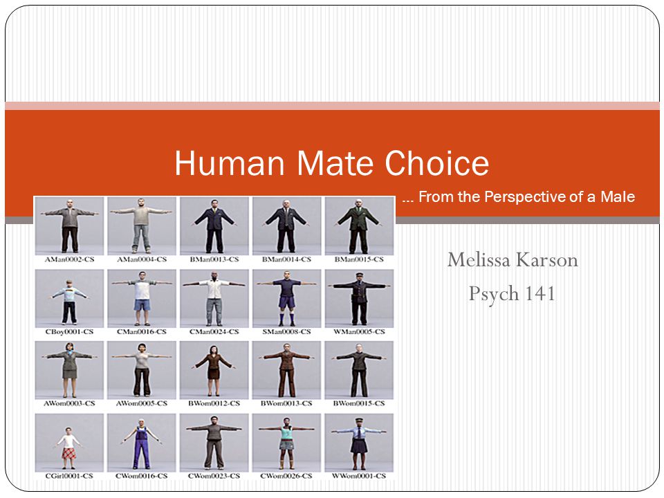 Human Mate Choice Melissa Karson Psych 141