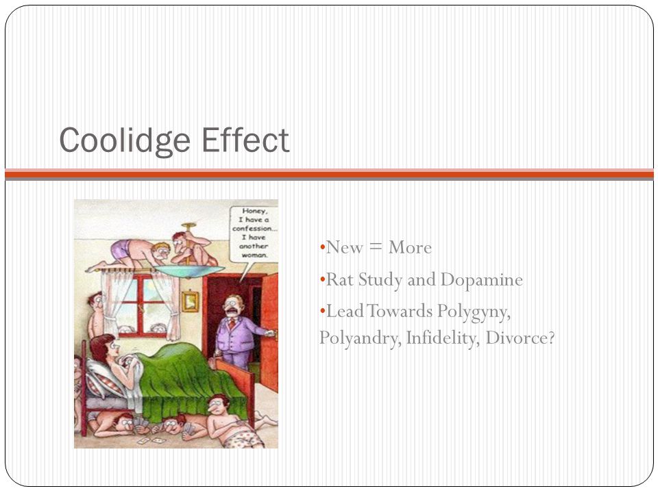 Coolidge Effect New = More Rat Study and Dopamine