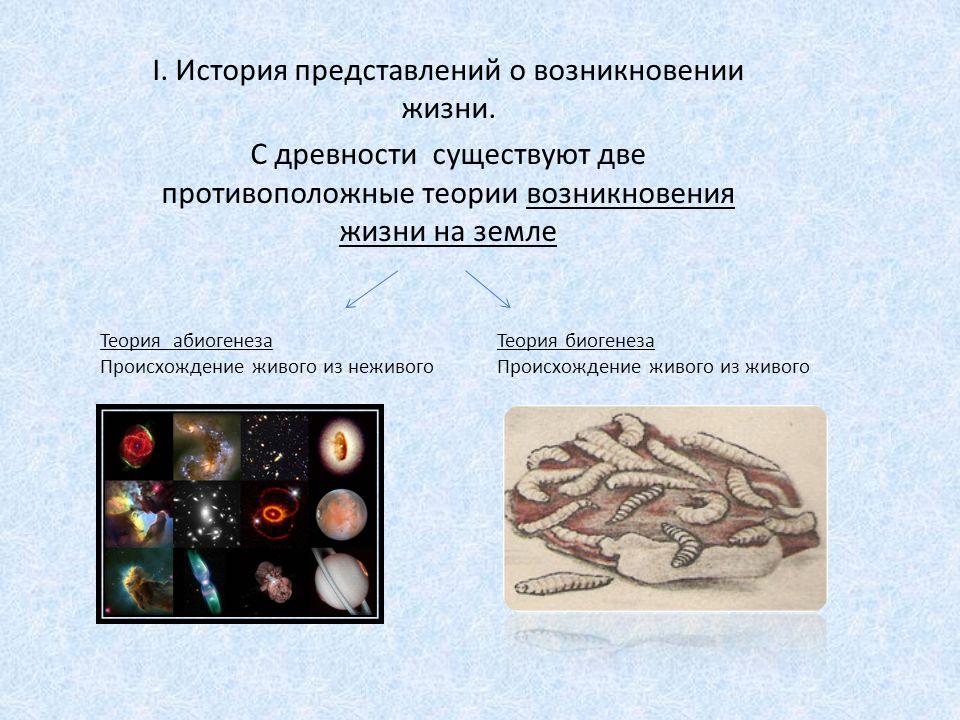 Возникновение жизни на Земле - ppt download