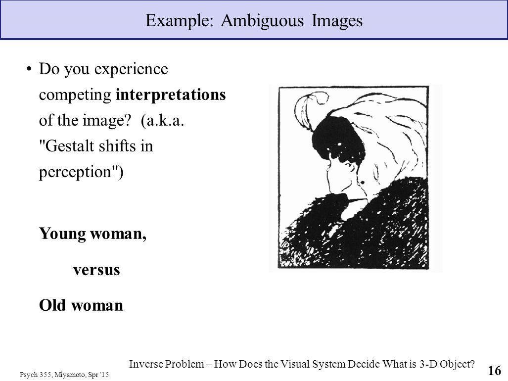 Example: Ambiguous Images