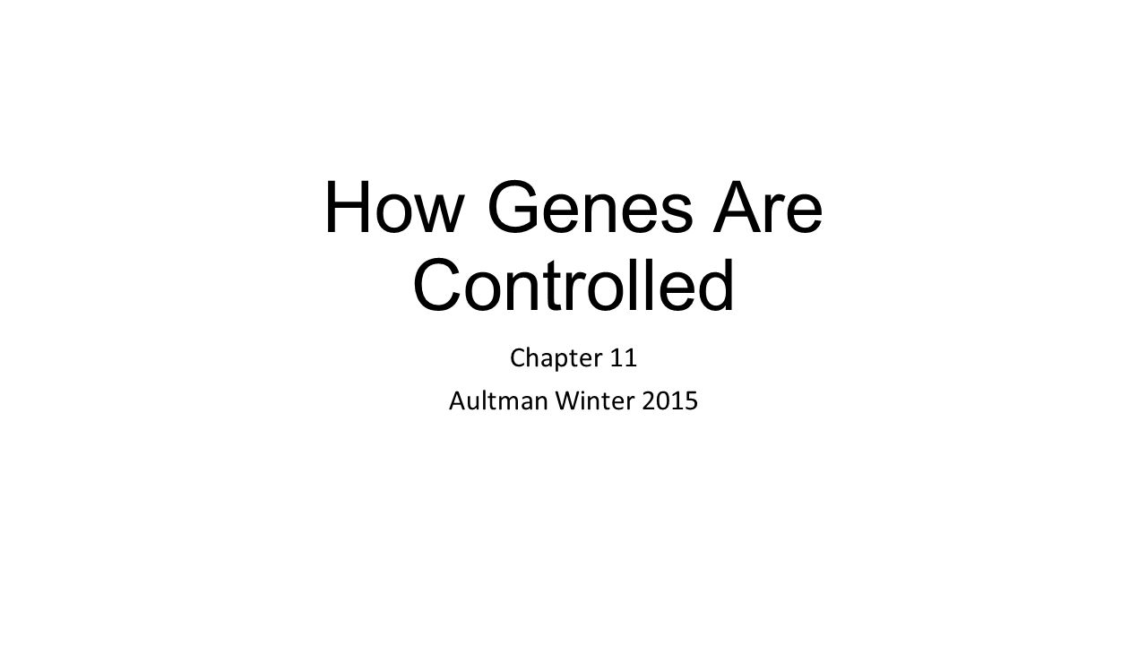 How Genes Are Controlled