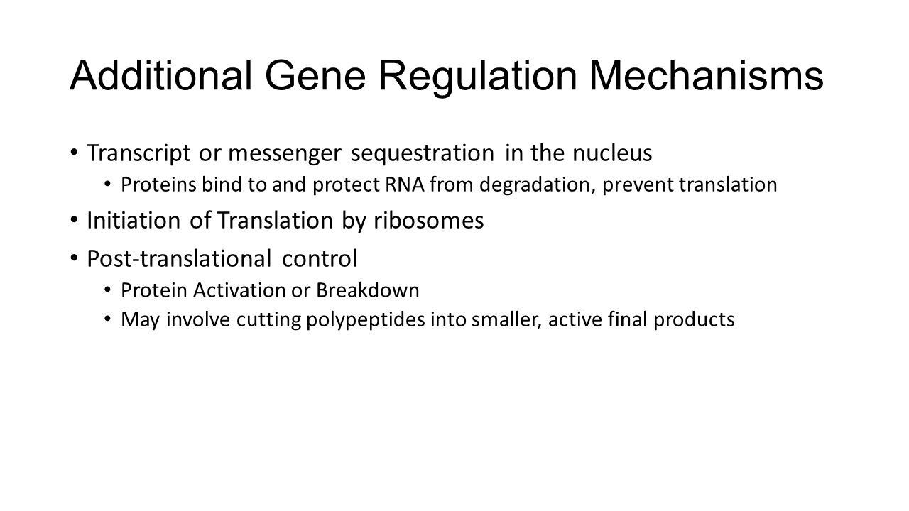 Additional Gene Regulation Mechanisms