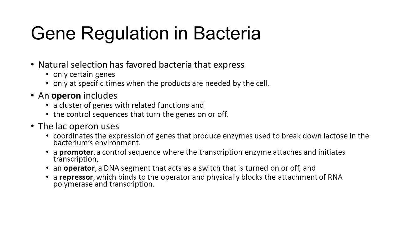 Gene Regulation in Bacteria