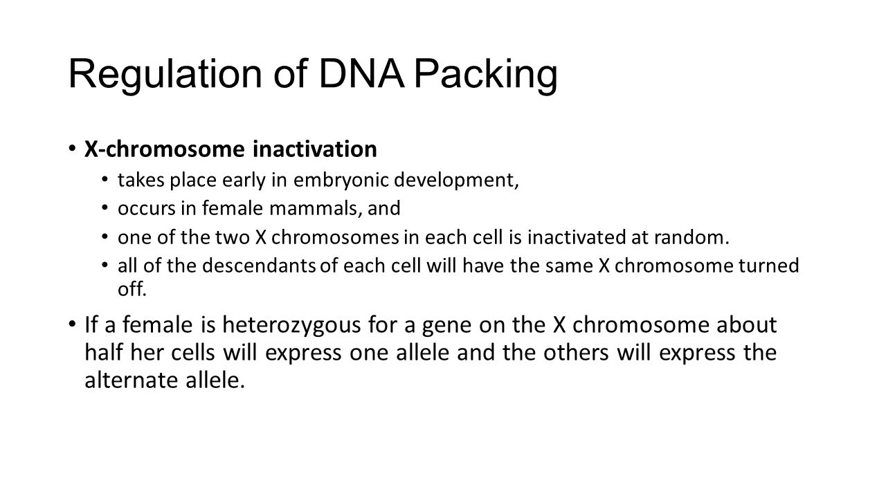 Regulation of DNA Packing