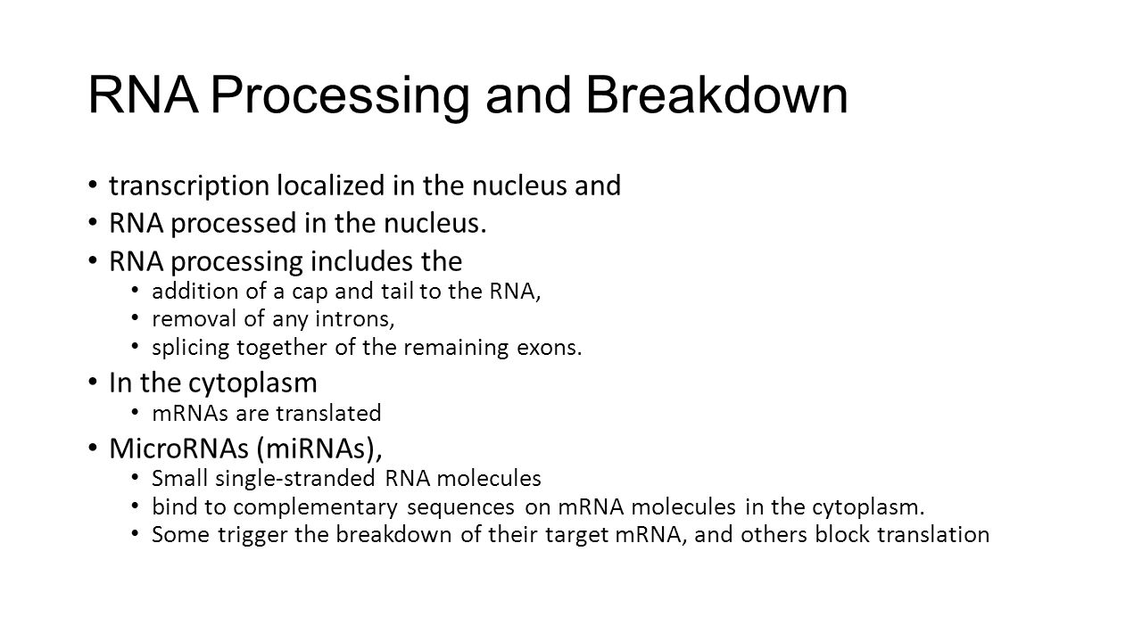 RNA Processing and Breakdown
