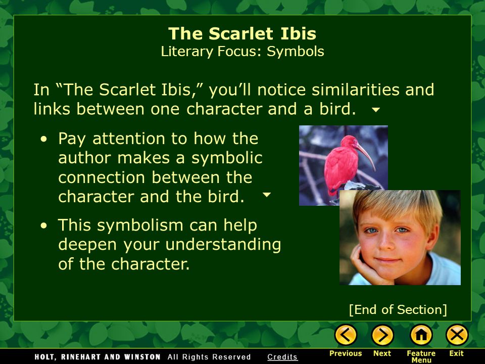 the scarlet ibis author