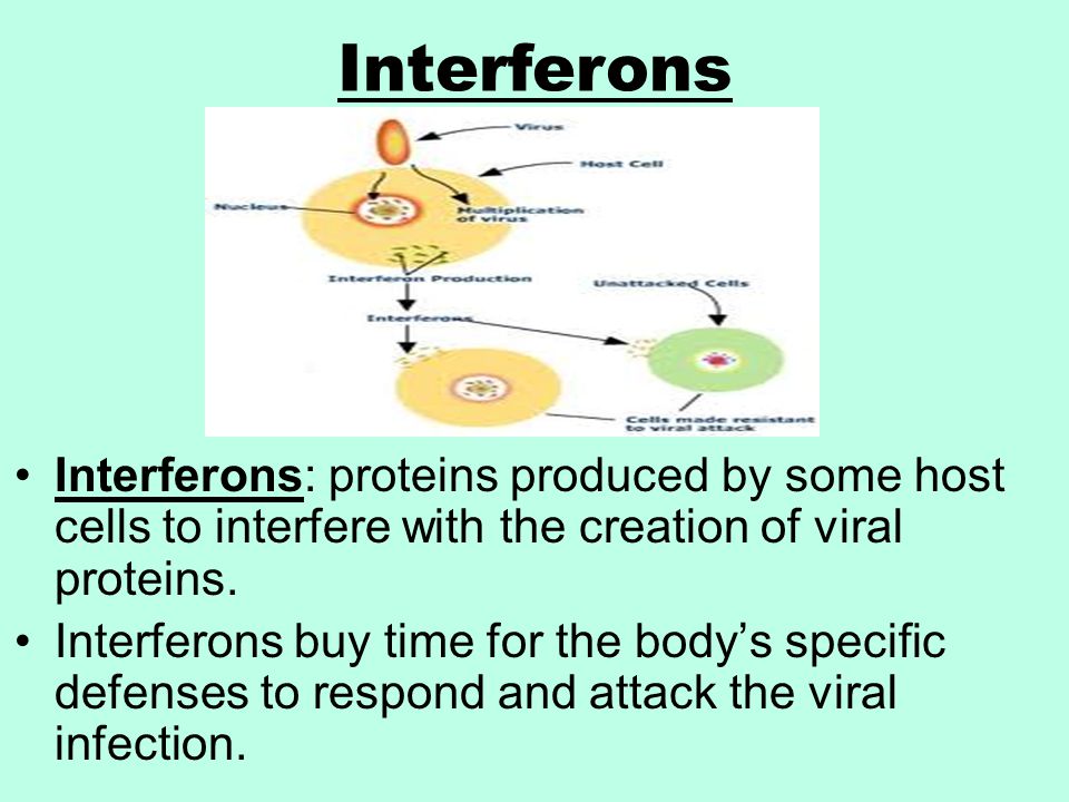 Interferons Interferons: proteins produced by some host cells to interfere with the creation of viral proteins.
