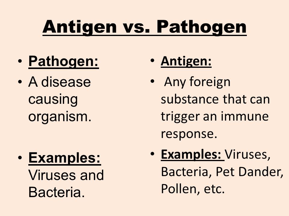 Antigen vs. Pathogen Pathogen: A disease causing organism.