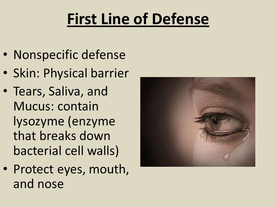 First Line of Defense Nonspecific defense Skin: Physical barrier