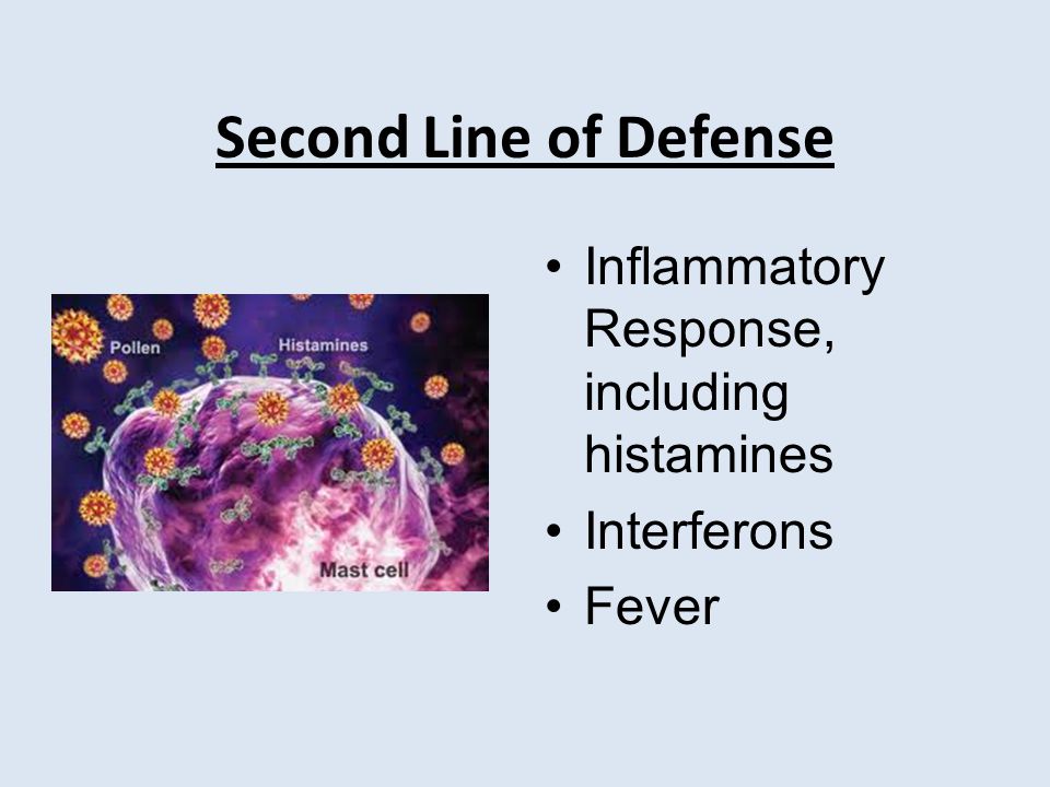 Second Line of Defense Inflammatory Response, including histamines