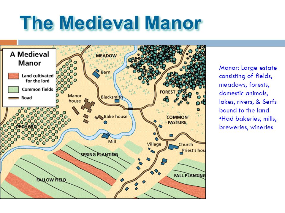 The Medieval Manor Manor: Large estate consisting of fields, meadows, forests, domestic animals, lakes, rivers, & Serfs bound to the land.
