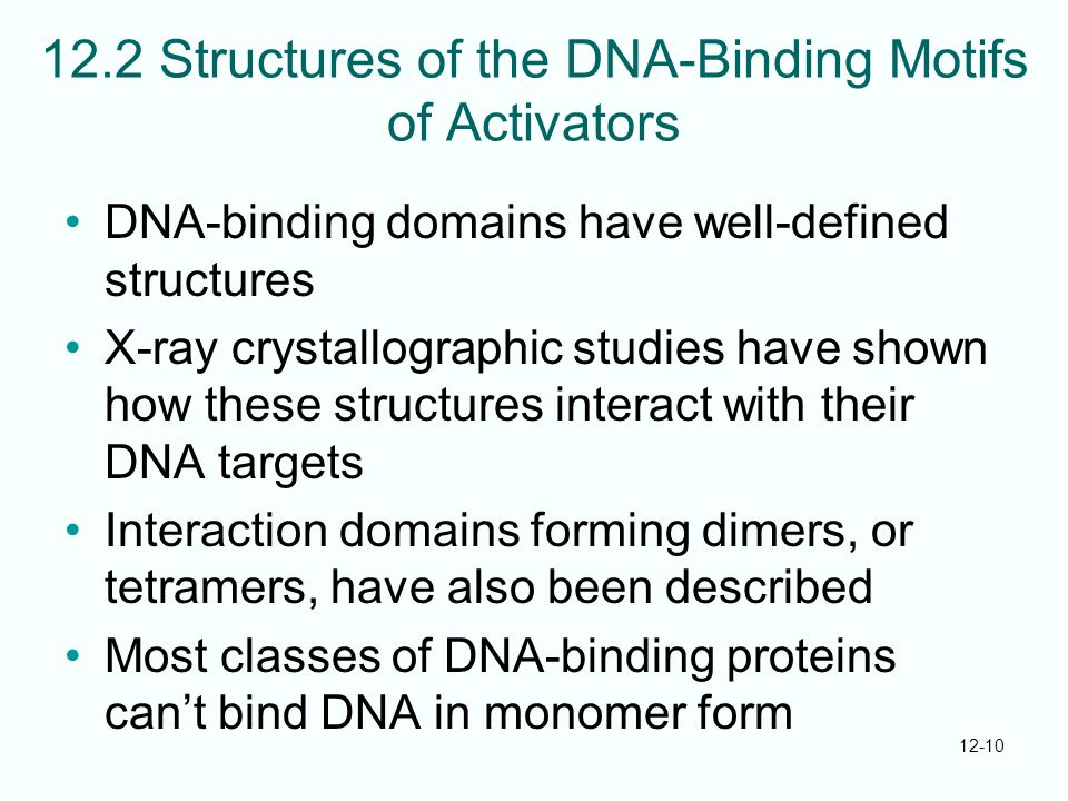 dna binding motifs definition