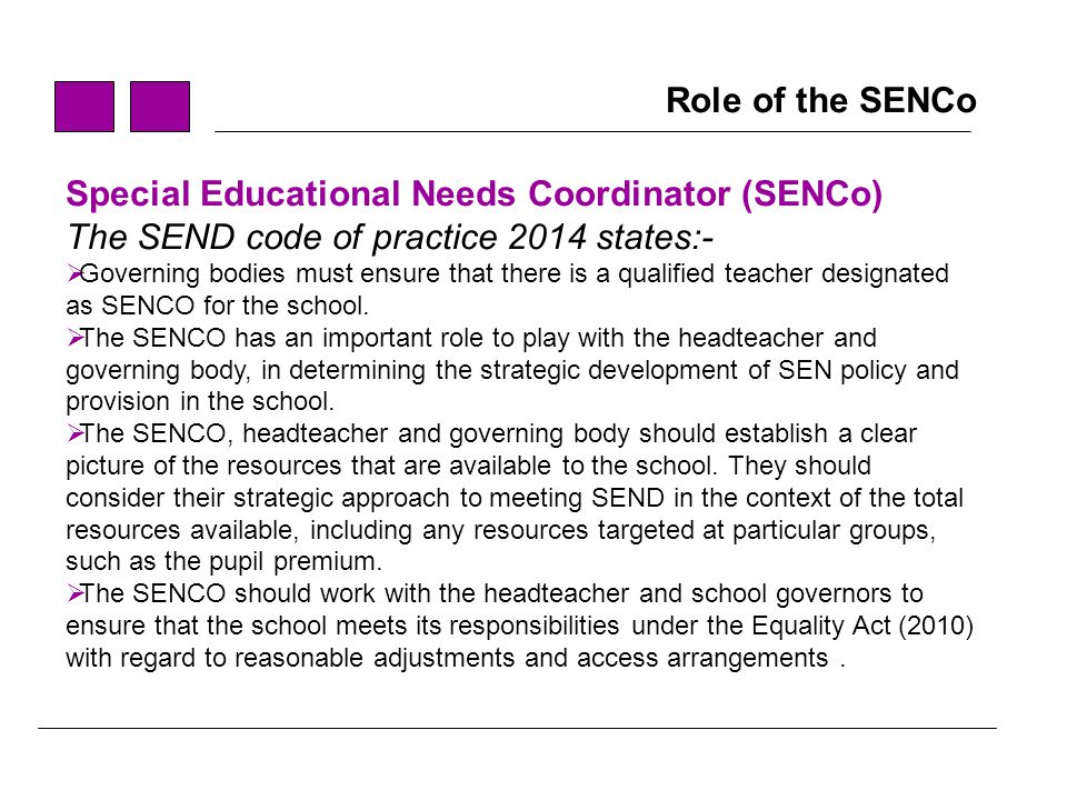 Special Educational Needs Coordinator (SENCo)