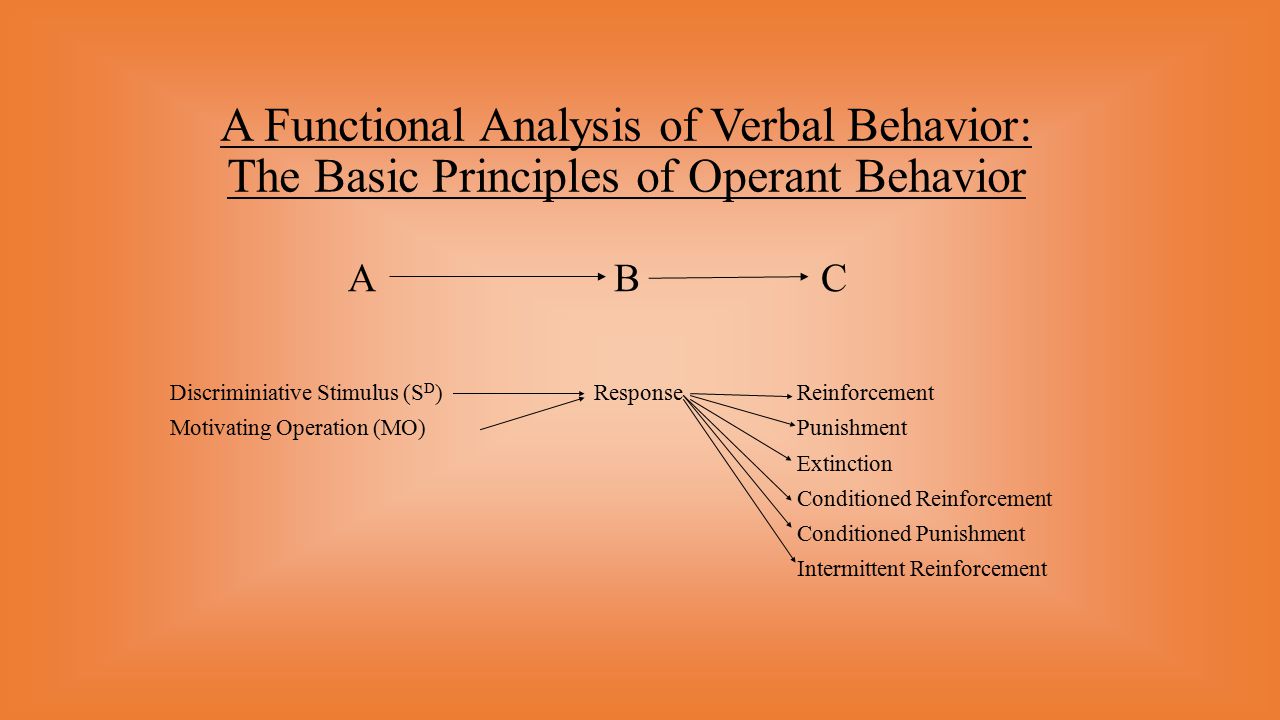 A Functional Analysis of Verbal Behavior: The Basic Principles of Operant Behavior