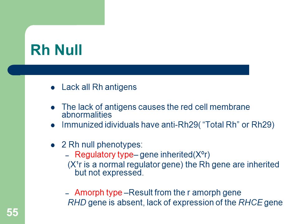 Abo Rh Blood Group System A Amirzargar Ppt Download Abo Rh Blood Group System A Amirzargar Ppt Download