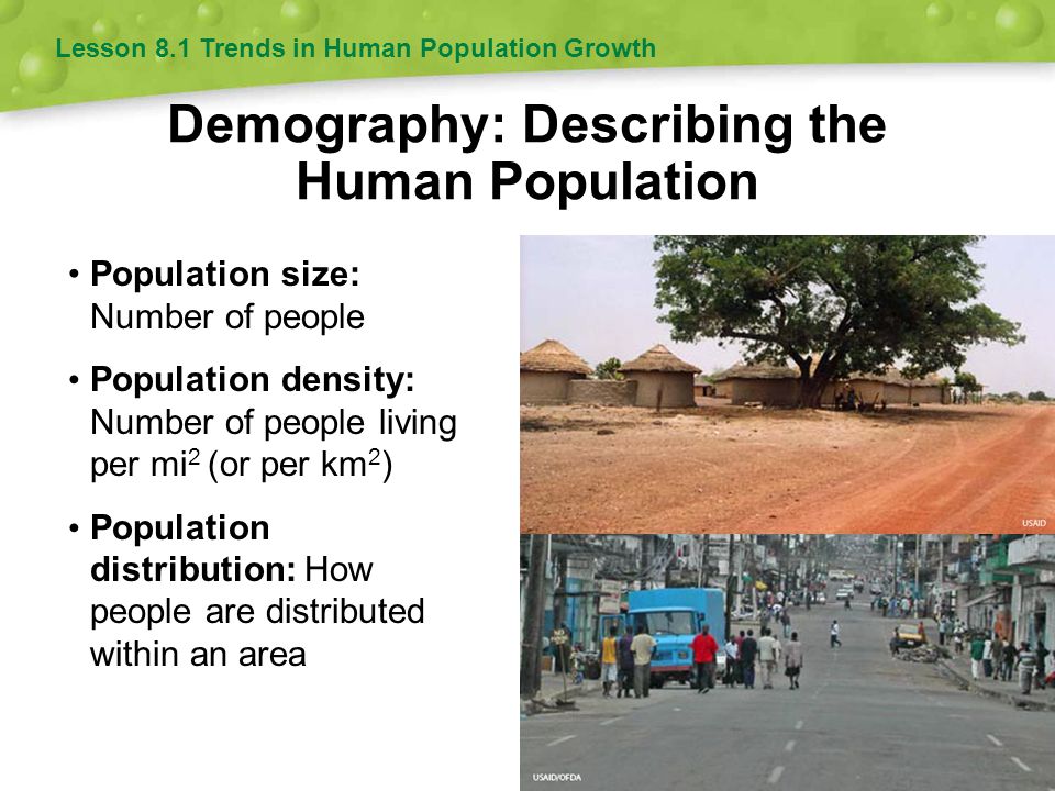 Demography: Describing the Human Population