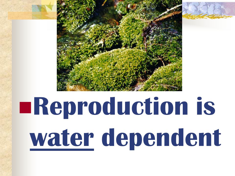 Reproduction is water dependent