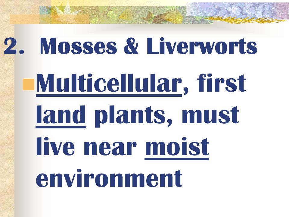 Multicellular, first land plants, must live near moist environment