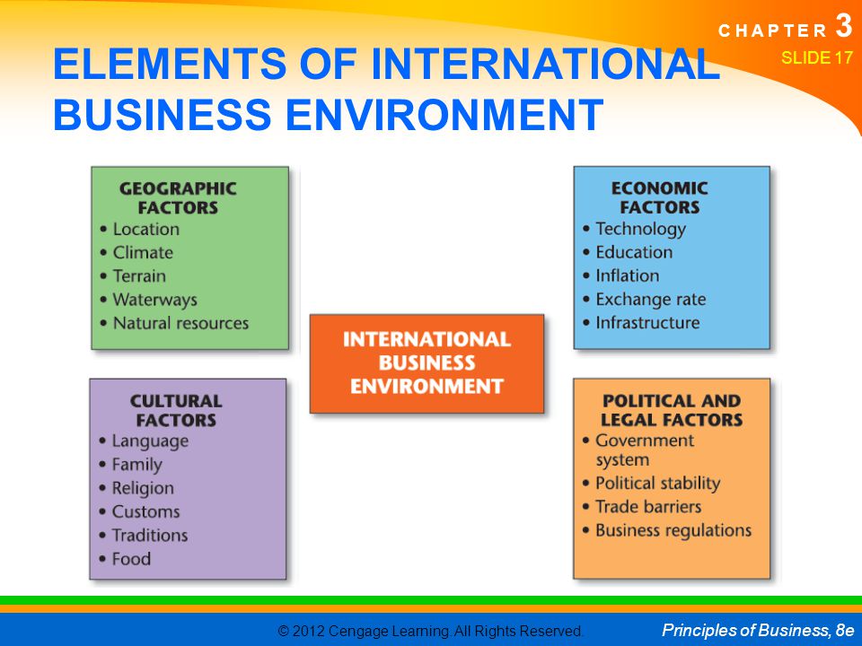 ELEMENTS OF INTERNATIONAL BUSINESS ENVIRONMENT