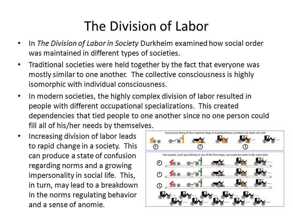 Emile Durkheim: Division of labour - TriumphIAS