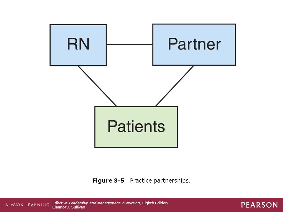 Figure 3-5 Practice partnerships.