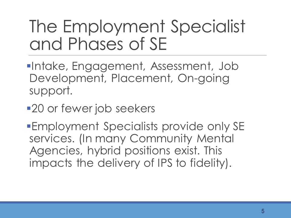 The Employment Specialist and Phases of SE