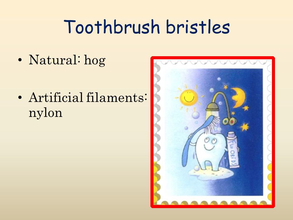 Toothbrush bristles Natural: hog Artificial filaments: nylon