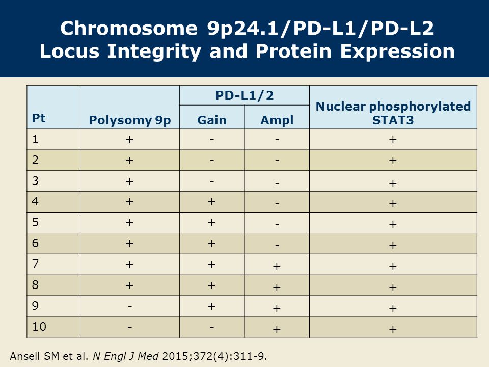 Chromosome 9p24.1/PD-L1/PD-L2 Locus Integrity and Protein Expression