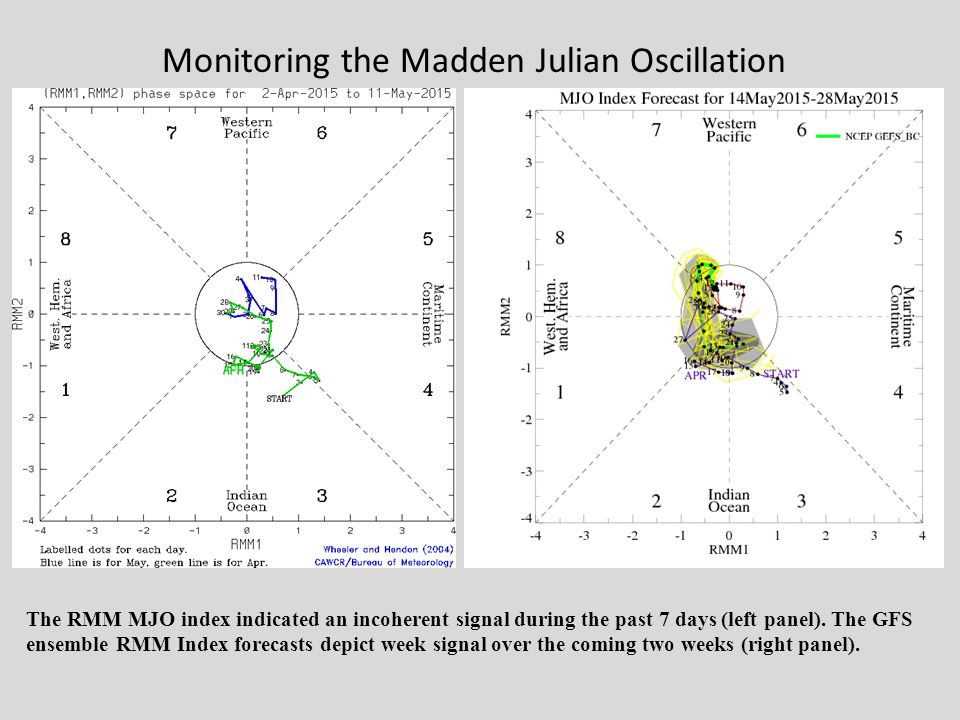 Monitoring the Madden Julian Oscillation