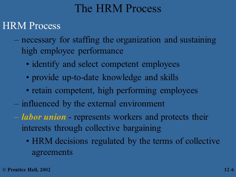 The HRM Process HRM Process