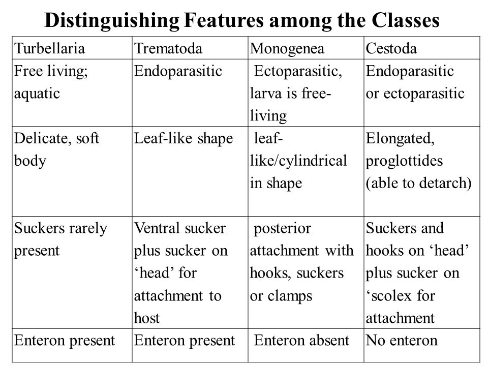 Distinguishing Features among the Classes